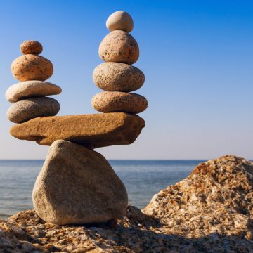 Insights, Decisions, and the Role of the Finance Team