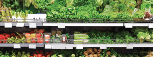 A Look at China’s Fresh Produce Retail Marketplace Amid COVID-19