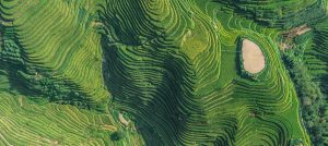 Mapping the Growth Trajectory of ESG Investing